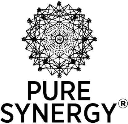 The Synergy Company (Pure Synergy) Logo